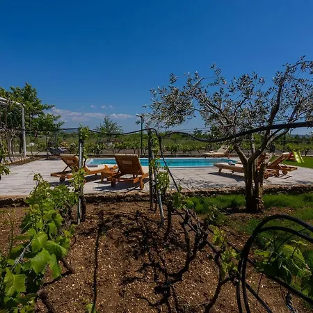 Villa Olive Tree *