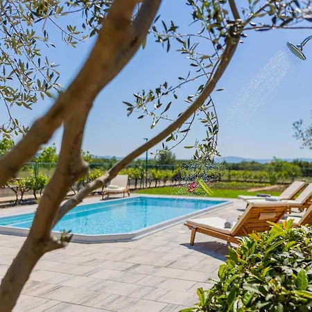 Olive Tree Villa