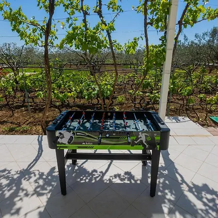 Olive Tree Villa Drniš